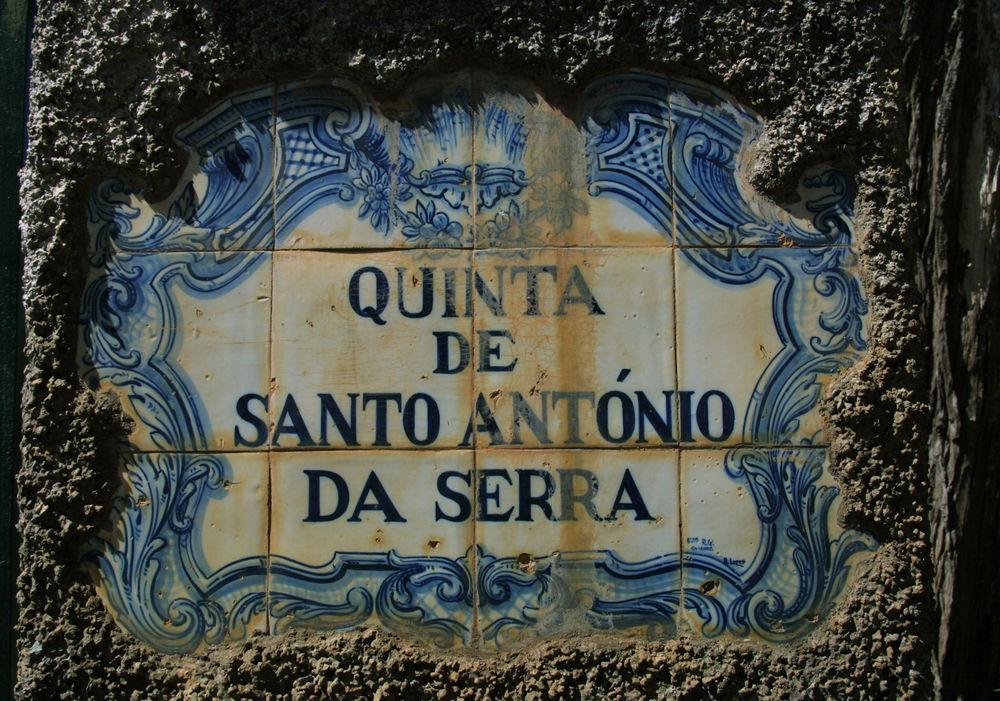 Enotel Santo Da Serra Santo Antonio da Serra Eksteriør billede